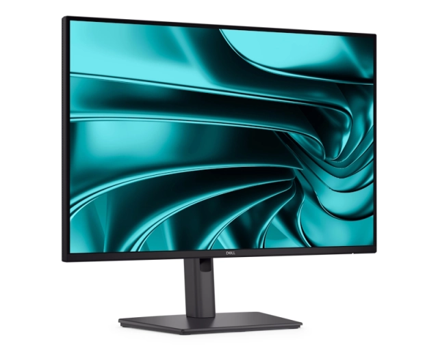 Dell 24 inch P2426E 100Hz USB C Professional IPS monitor