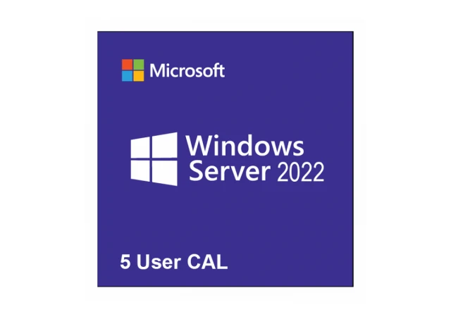 Microsoft R18-06466 Windows Server CAL 2022 English 1pk DSP OEI 5 Clt ...