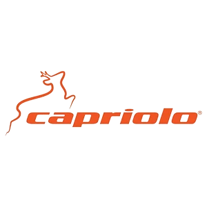 Capriolo